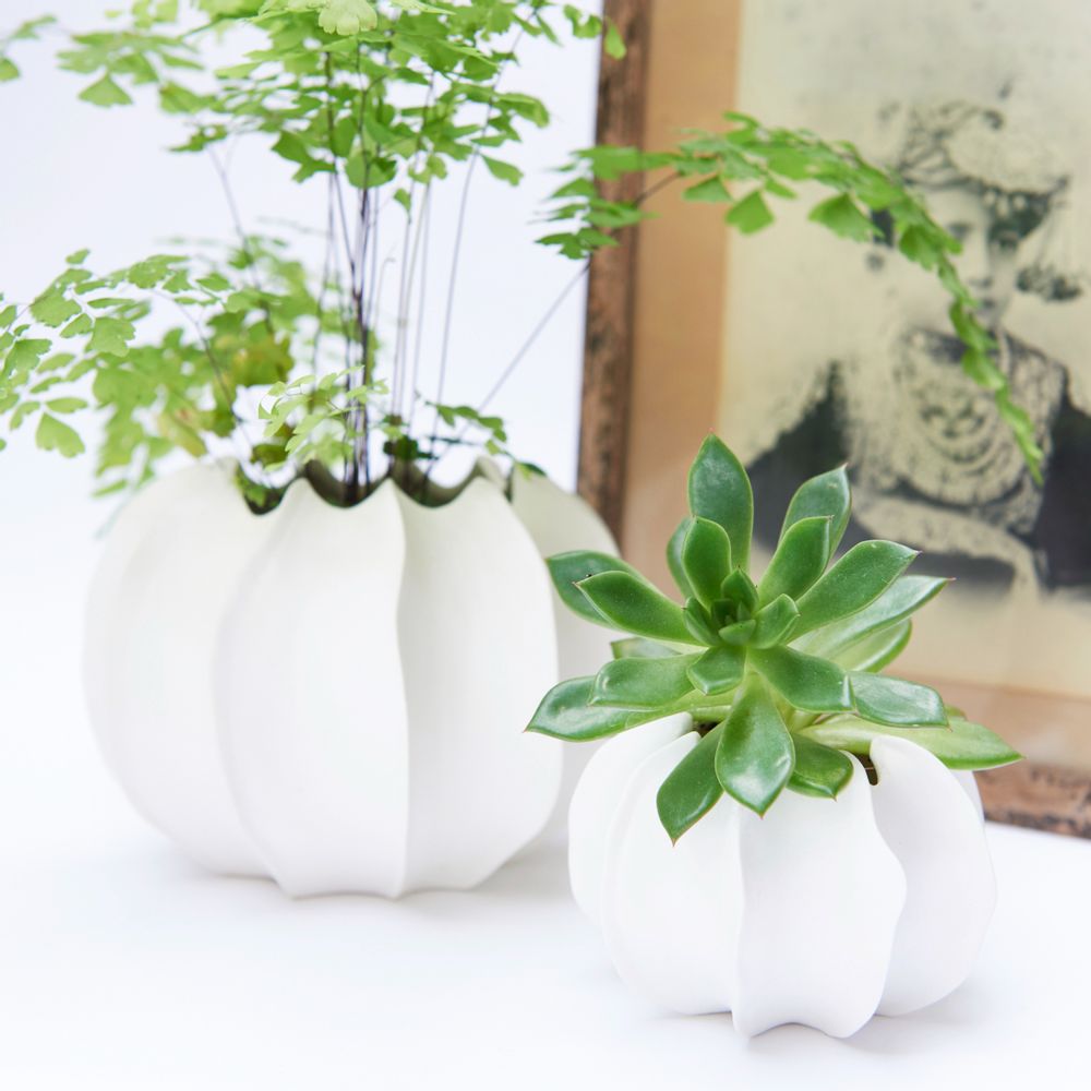 Vases - VAYA I vase biscuit porcelain D=17cm H=9,5cm - YLVAYA DESIGN