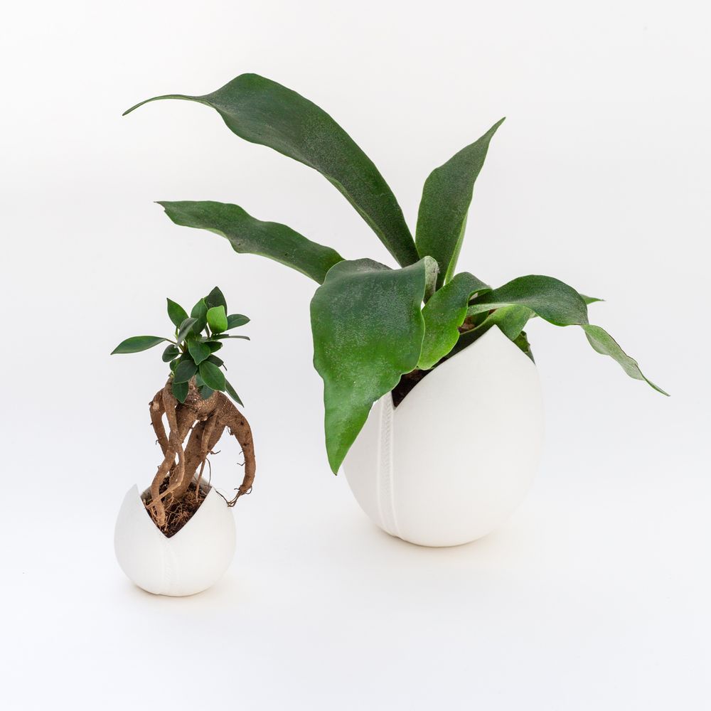 Vases - TULIP vase in porcelain biscuit H=15.5cm, D=9cm - YLVAYA DESIGN