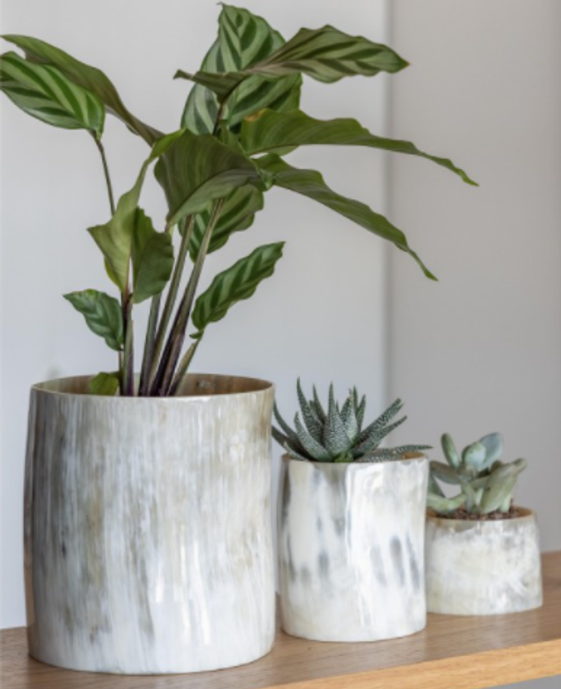 Bougeoirs et photophores  - Photophore en corne - L INDOCHINEUR X RIVÊT