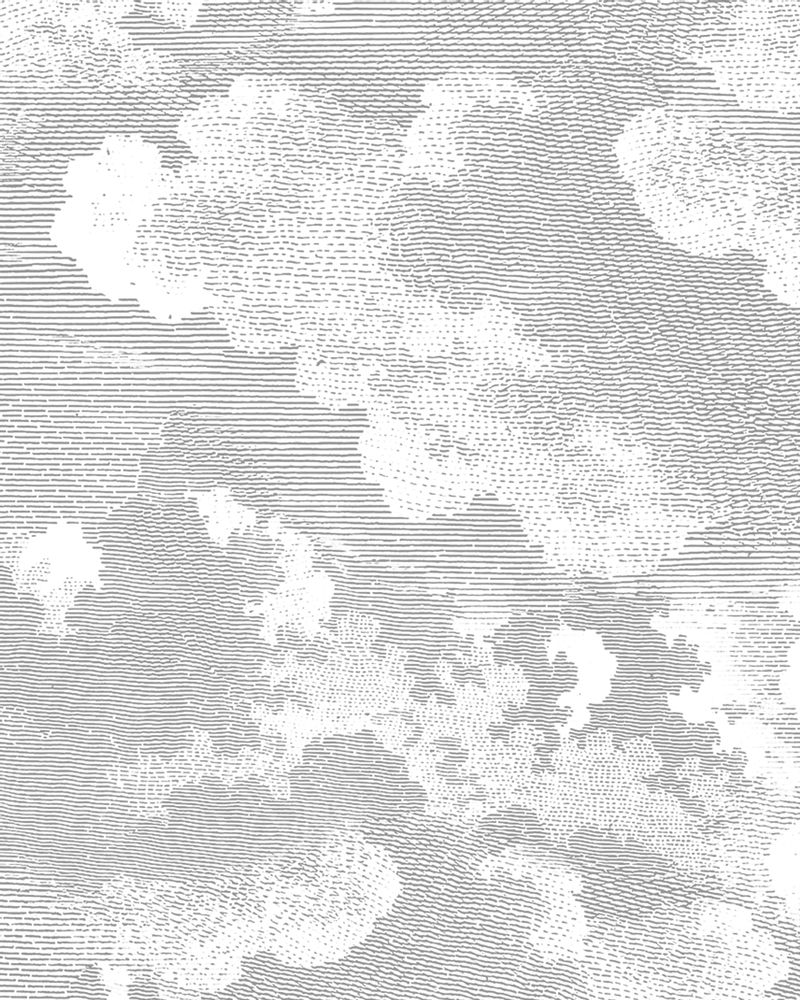 Papiers peints - Papier peint NUBULIS - LGD01 DECOR MURAL SUR MESURE