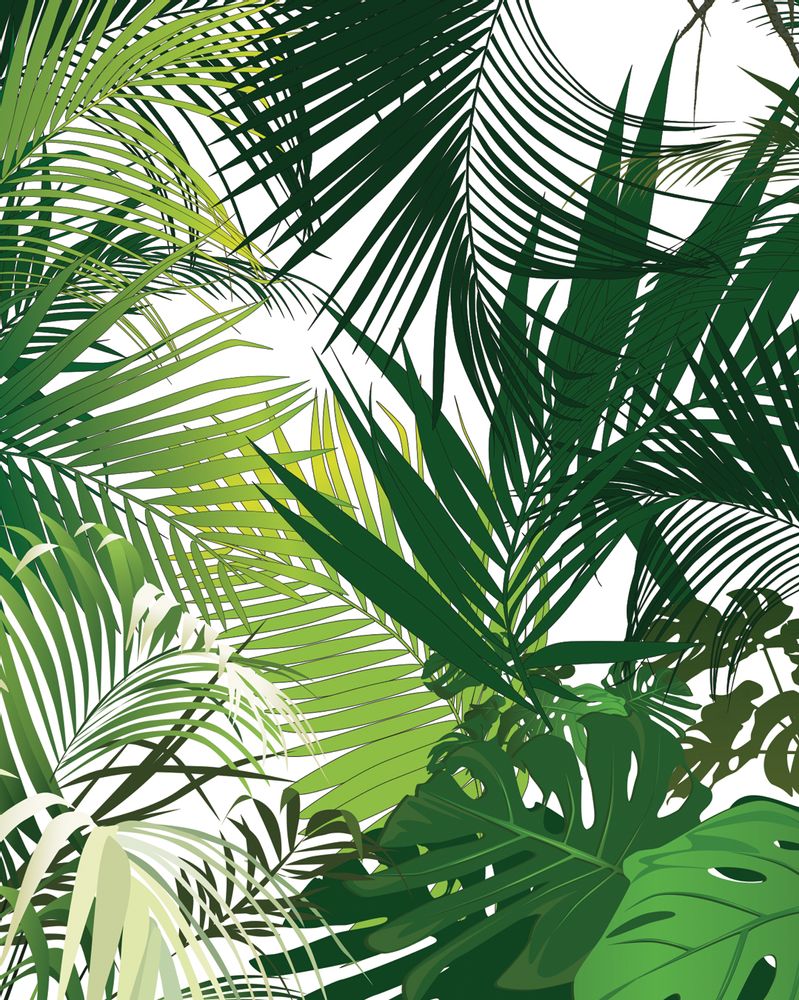 Papiers peints - Papier peint JUNGLE - LGD01 DECOR MURAL SUR MESURE