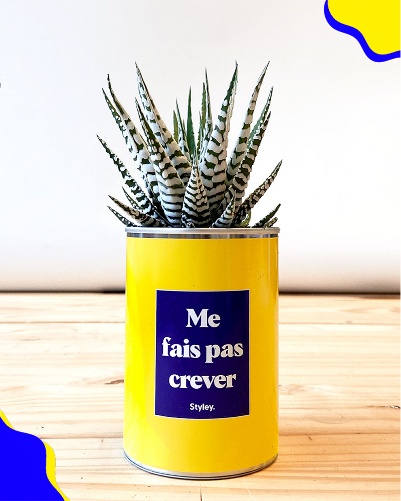 Cadeaux - Me Fais Pas Crever - Cactus - STYLEY