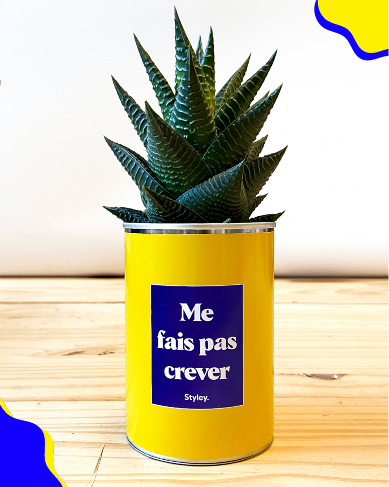 Cadeaux - Me Fais Pas Crever - Cactus - STYLEY