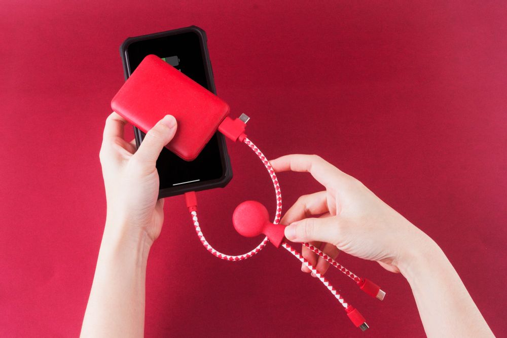 Other smart objects - Battery - Mr Bio Pack Red - XOOPAR