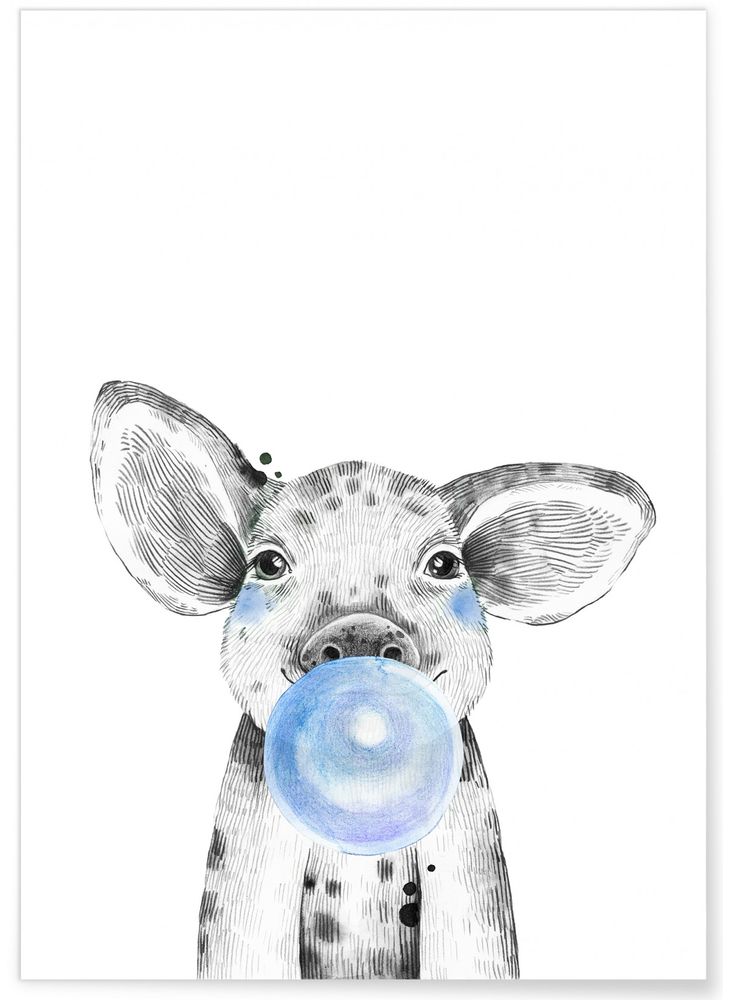 Affiches - AFFICHES BULLES ANIMAUX - L'AFFICHERIE