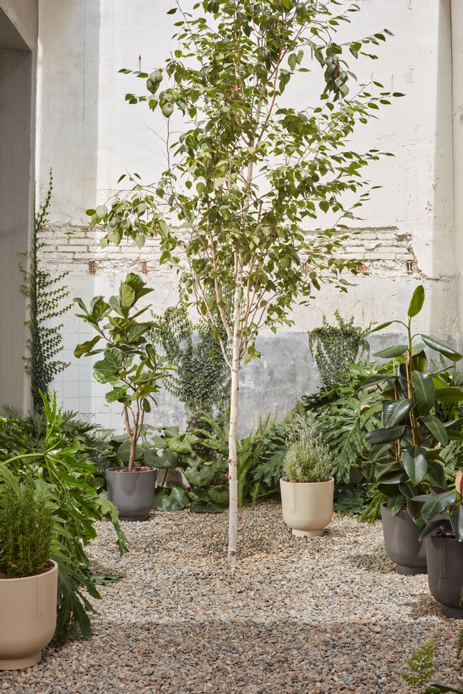 Flower pots - BARDI flowerpots - HOBBY FLOWER