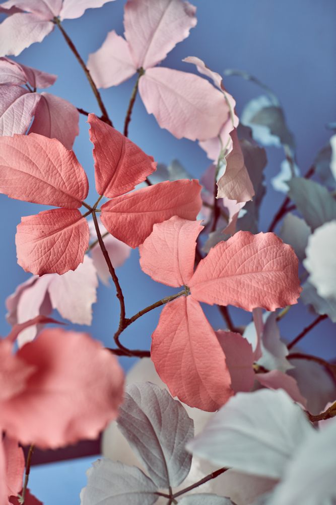Floral decoration - Soft tones - Silk-ka Artificial flowers and plants for life! - SILK-KA