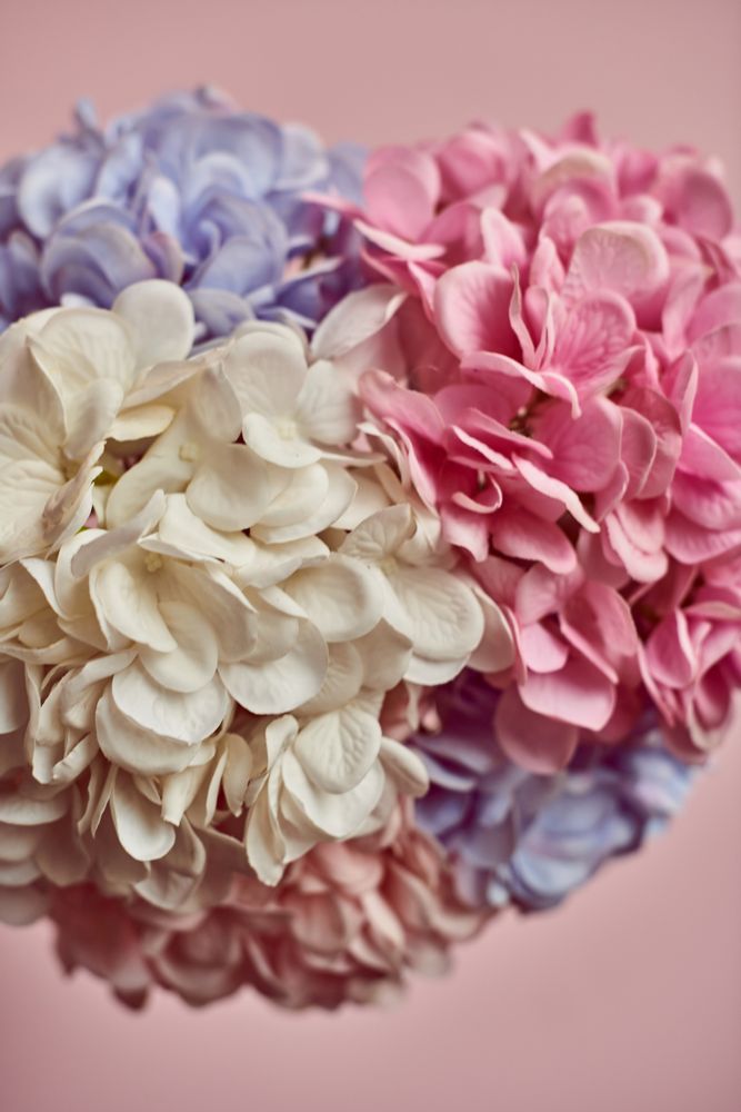 Floral decoration - Soft tones - Silk-ka Artificial flowers and plants for life! - SILK-KA