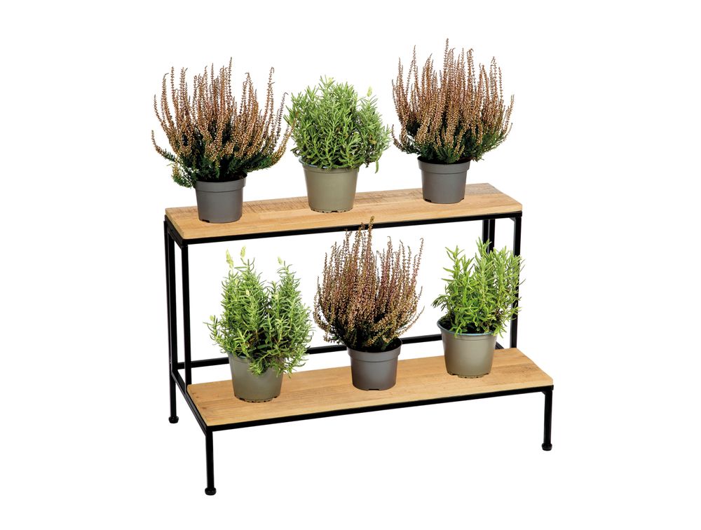 Flower pots - FLOWER DISPLAY IN WOOD/METAL 75X40X49 AX71531 - ANDREA HOUSE