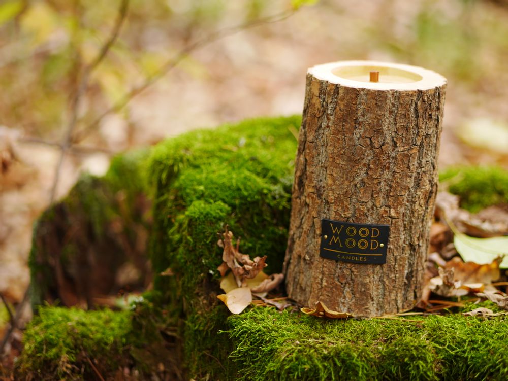 Cadeaux - ROCKY M | Bougie intérieure en bois, cire d'abeille et huiles naturelles - WOOD MOOD