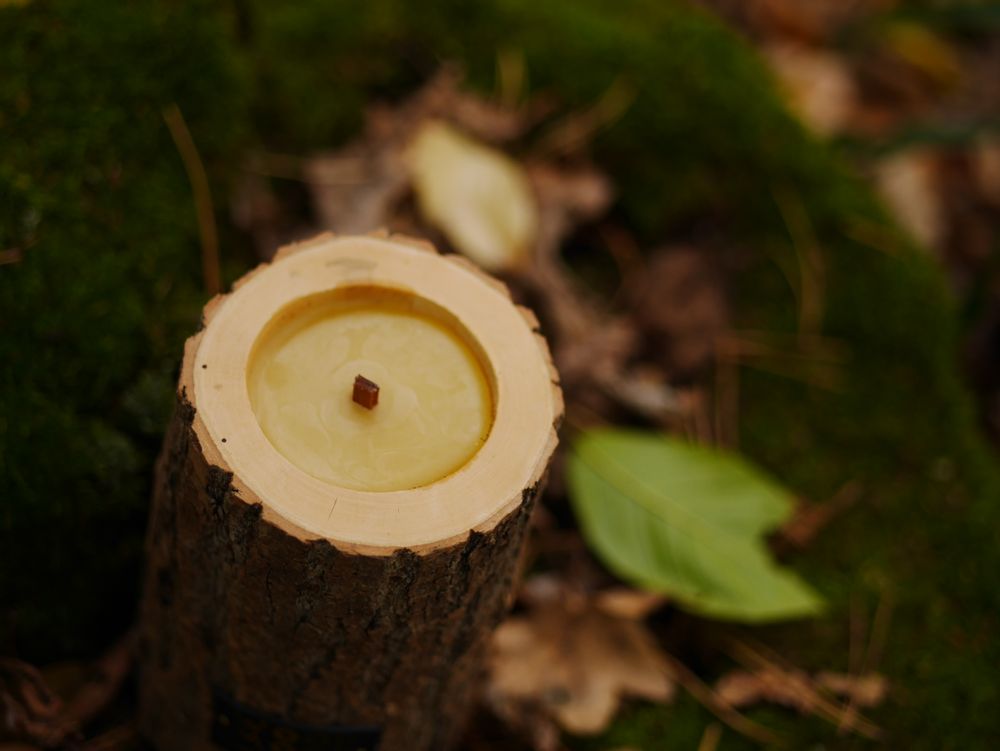 Cadeaux - ROCKY M | Bougie intérieure en bois, cire d'abeille et huiles naturelles - WOOD MOOD