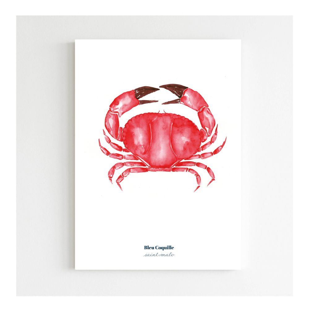 Poster - Poster 30 x 40 cm - Red Crab - BLEU COQUILLE