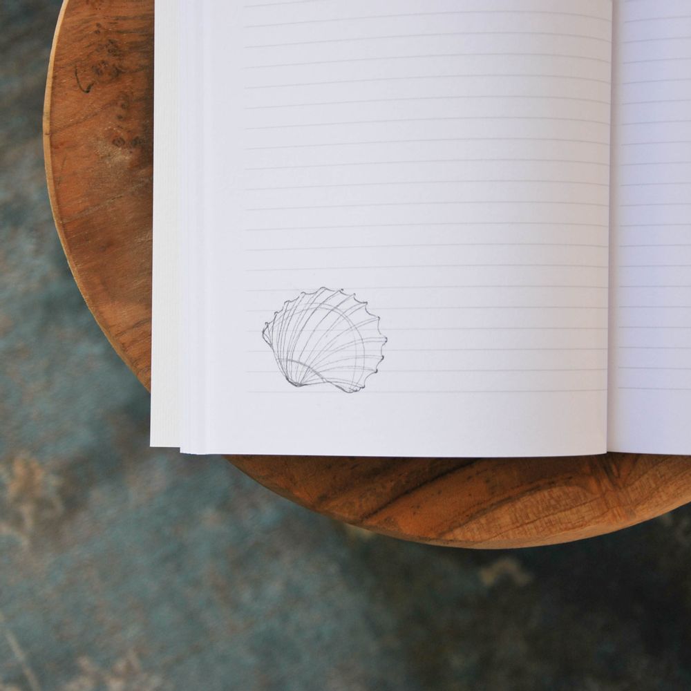 Stationery - Postcard - Envelop - BLEU COQUILLE
