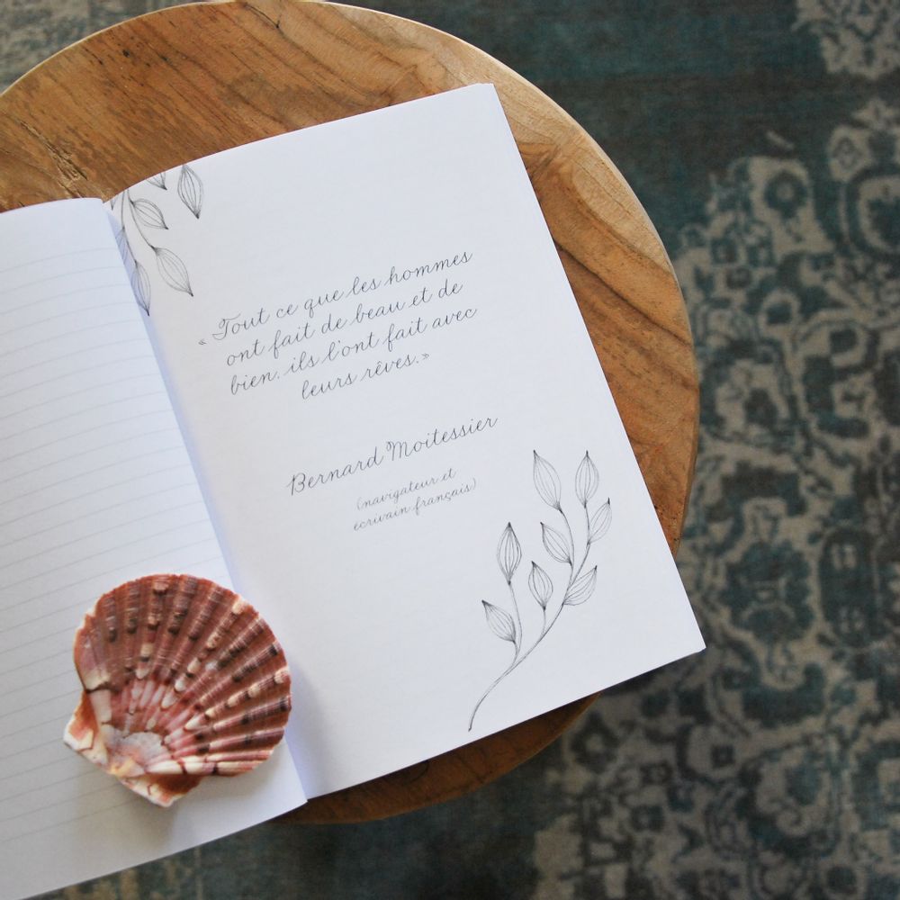 Stationery - Postcard - Envelop - BLEU COQUILLE