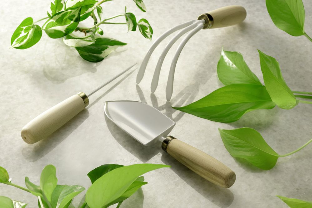 Floral decoration - Les ptites mains "Root pick" - ASANOMOKKOUSHO CO,.LTD