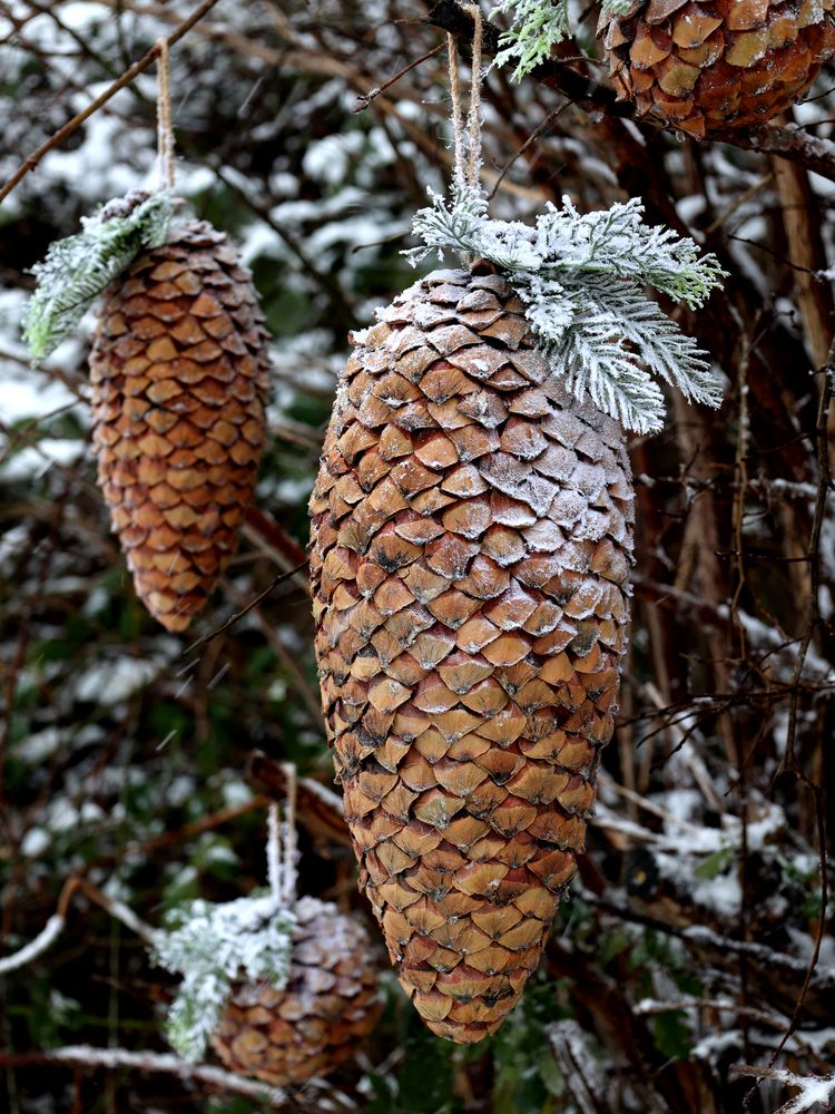 Other Christmas decorations - Christmas trees and pinecones - CHIC ANTIQUE A/S