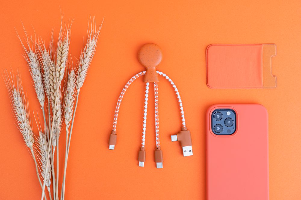 Autres fournitures bureau - MR BIO Multi câble Eco-Friendly - Wheat Collection - XOOPAR