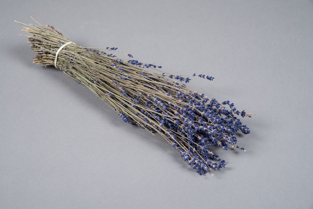 Décorations florales - Lavande séchée naturelle bleue H40cm - LE COMPTOIR.COM