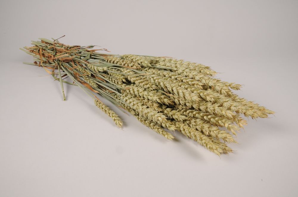 Floral decoration - Natural wheat - LE COMPTOIR.COM