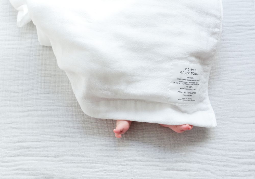 Fabrics - 2.5-Ply Gauze / bath towel size-M - SHINTO TOWEL