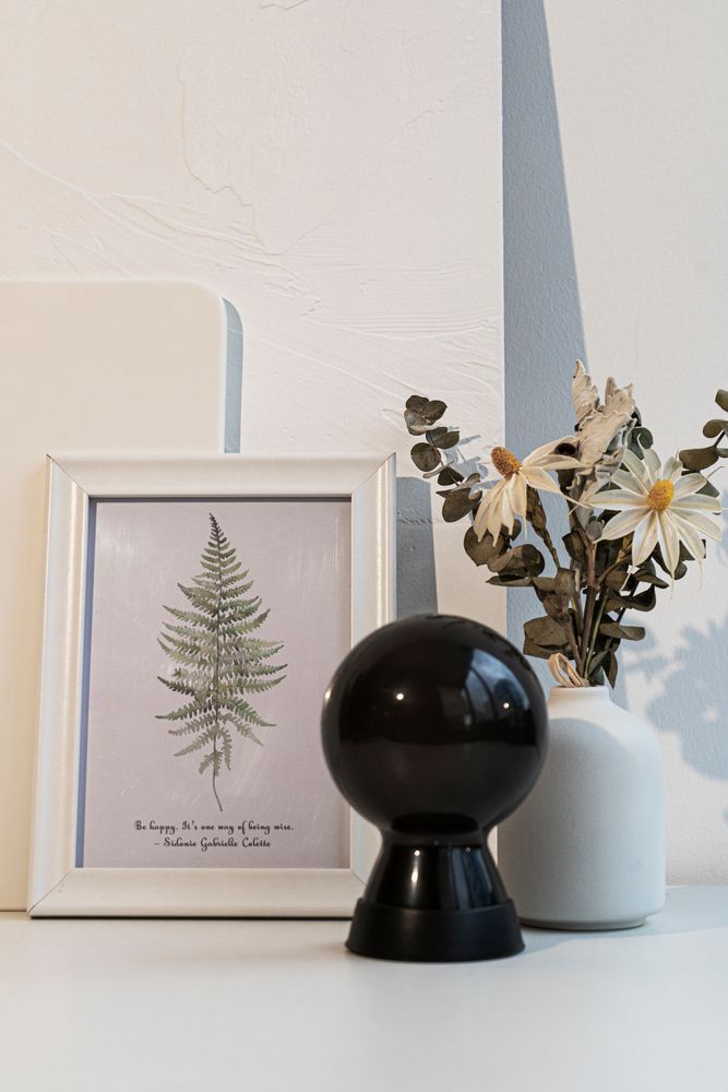 Autres objets connectés  - LAMPE MR BIO - Collection - XOOPAR
