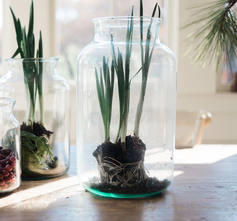 Vases - Mason Jar Clear, 20L - ETÚHOME
