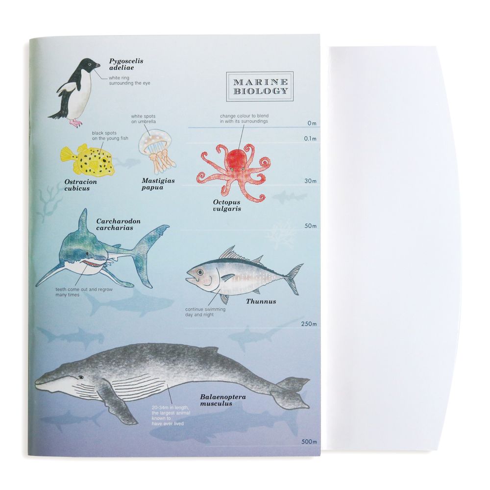 Papeterie - Carnet A5 (Biologie marine) - STUDY HOLIC