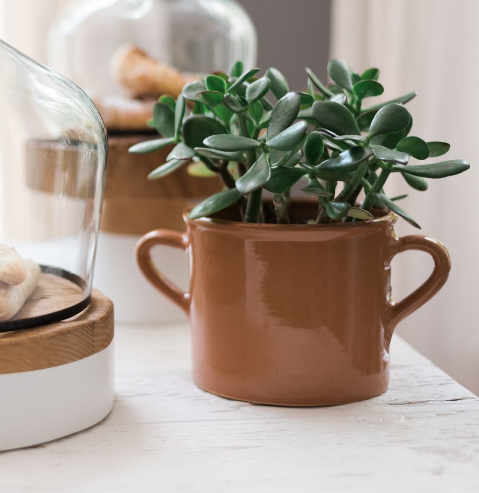 Poterie - Pot à olives italien en terre cuite, taille moyenne - ETÚHOME