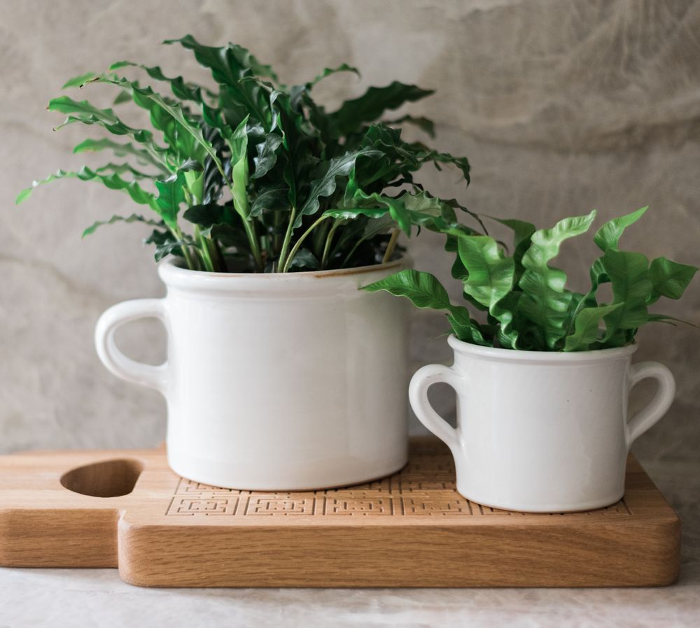 Poterie - Jardinière blanche italienne en pot d'olives, taille moyenne - ETÚHOME