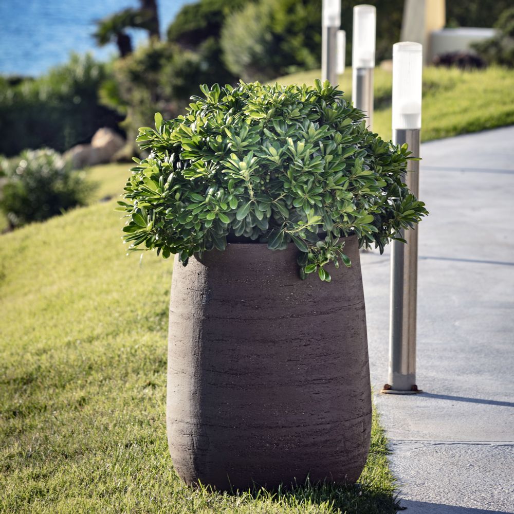Spa - PANAREA - POT À PORTER