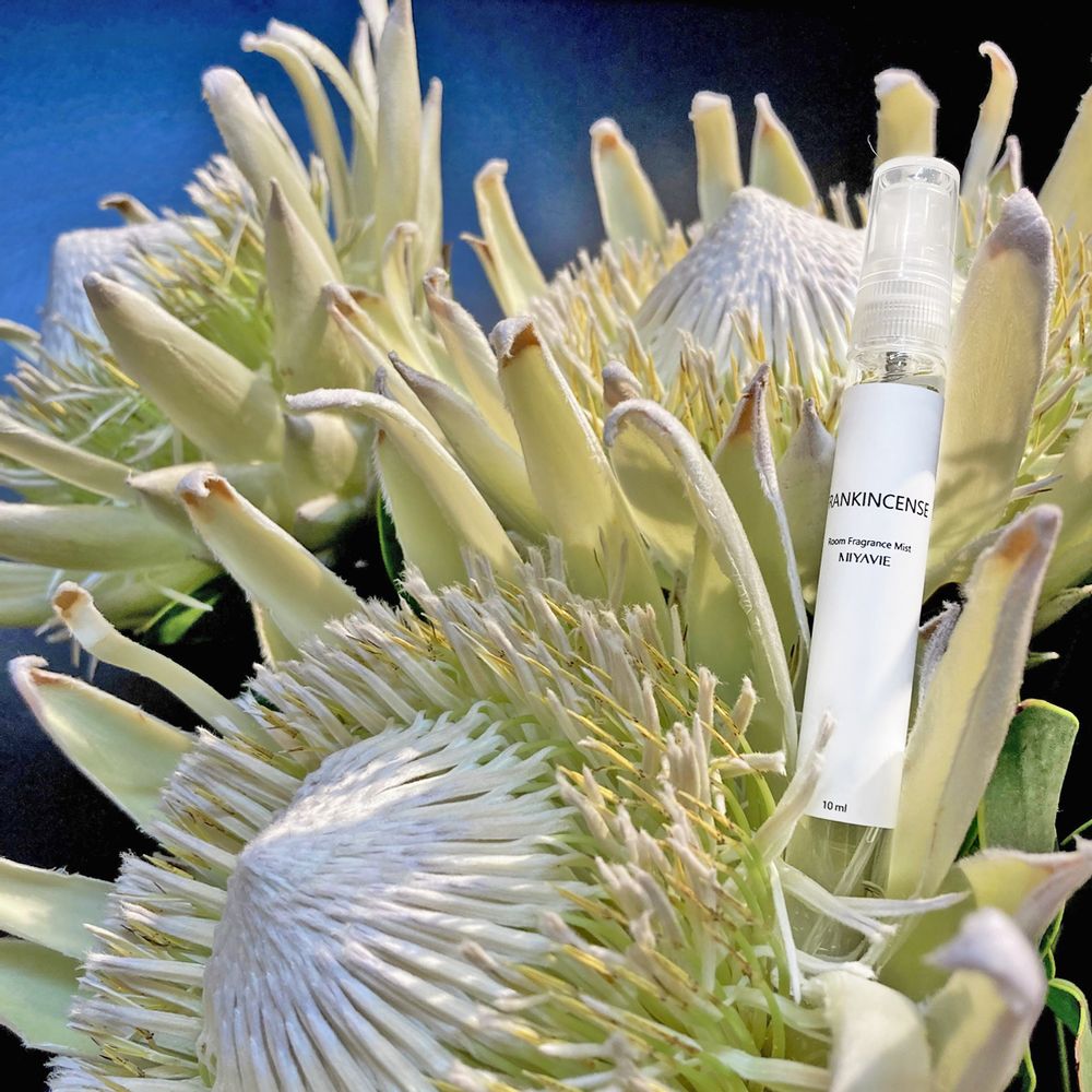 Home fragrances - MIYAVIE PORTABLE ROOM FRAGRANCE MIST - MAISON KOICHIRO KIMURA