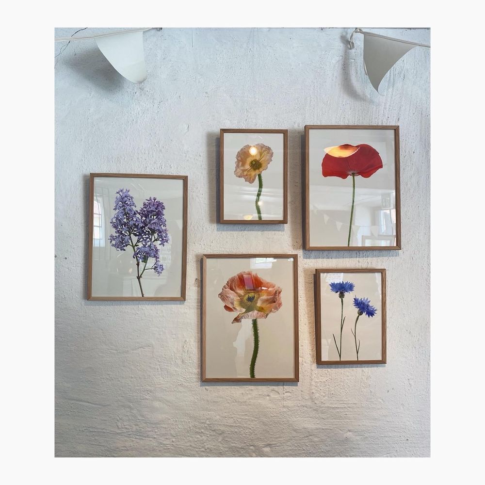 Frames - Frames - LILJEBERGS