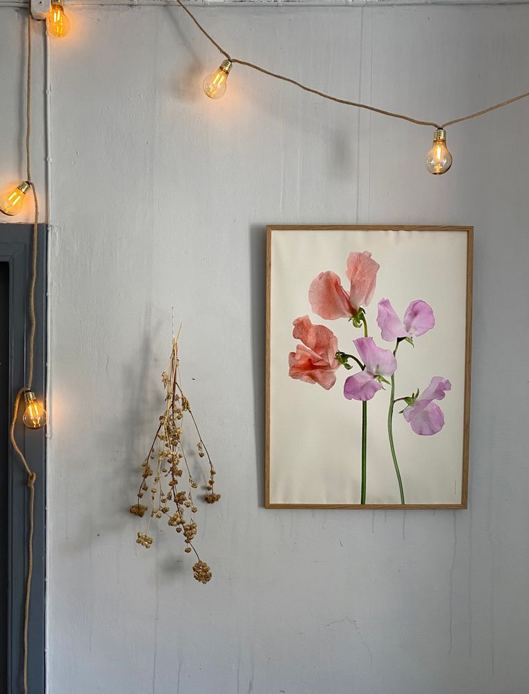 Frames - Frames - LILJEBERGS