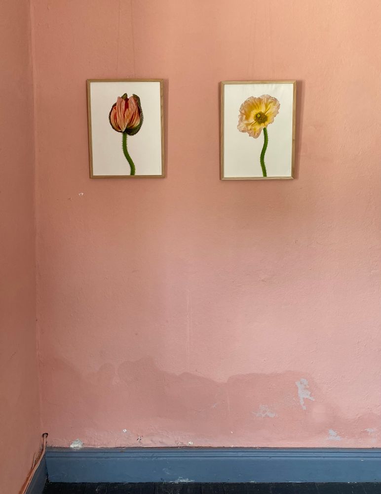 Frames - Frames - LILJEBERGS