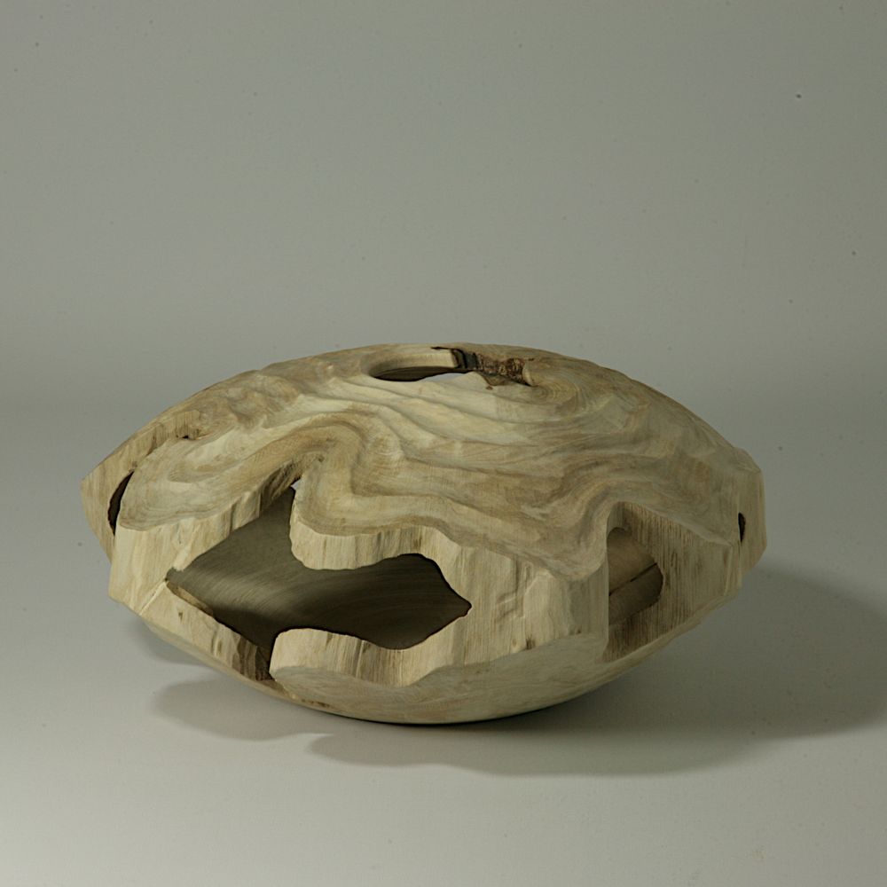 Pièces uniques - Forme creuse Carpinus Betulus - STUDIO NICOLA TESSARI