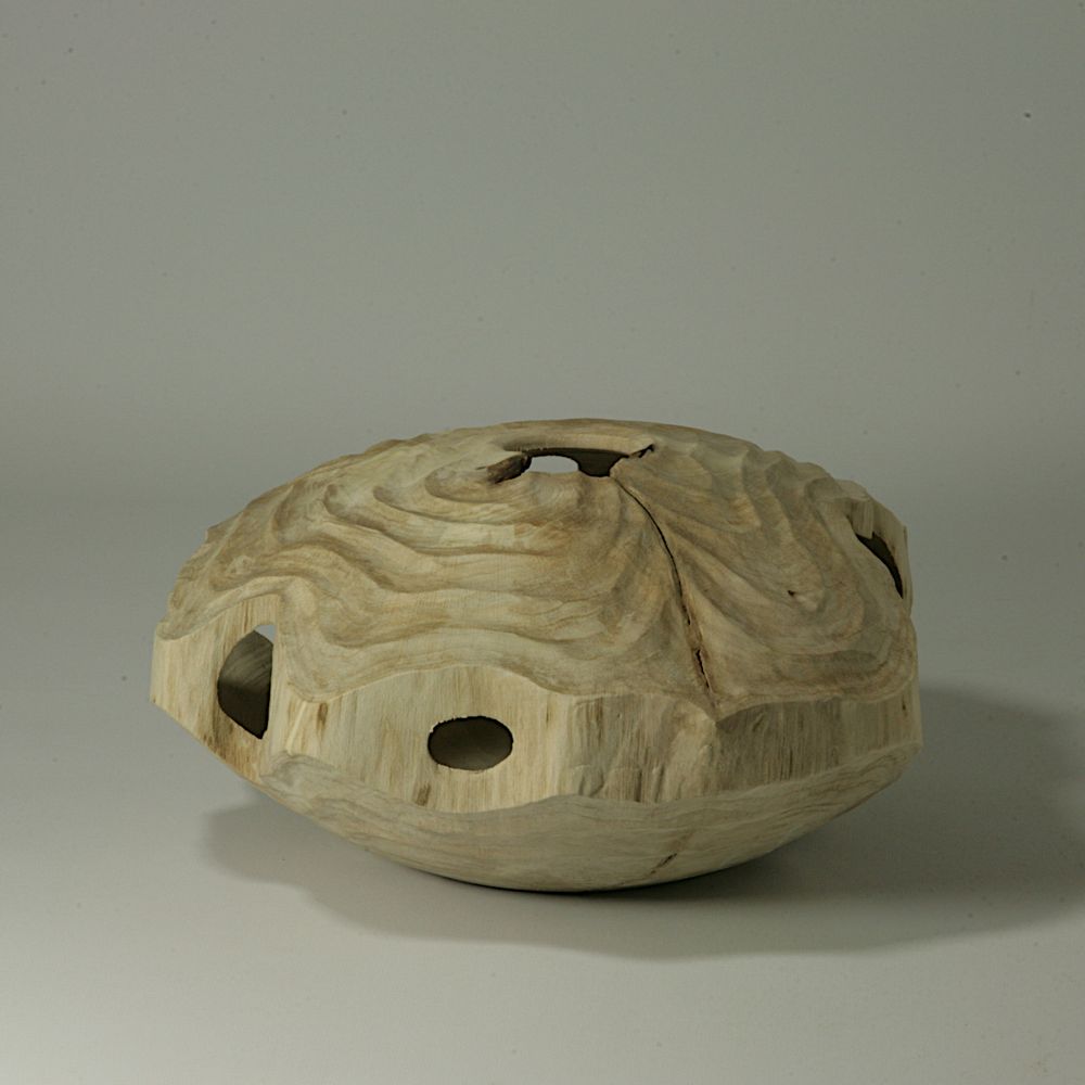 Pièces uniques - Forme creuse Carpinus Betulus - STUDIO NICOLA TESSARI