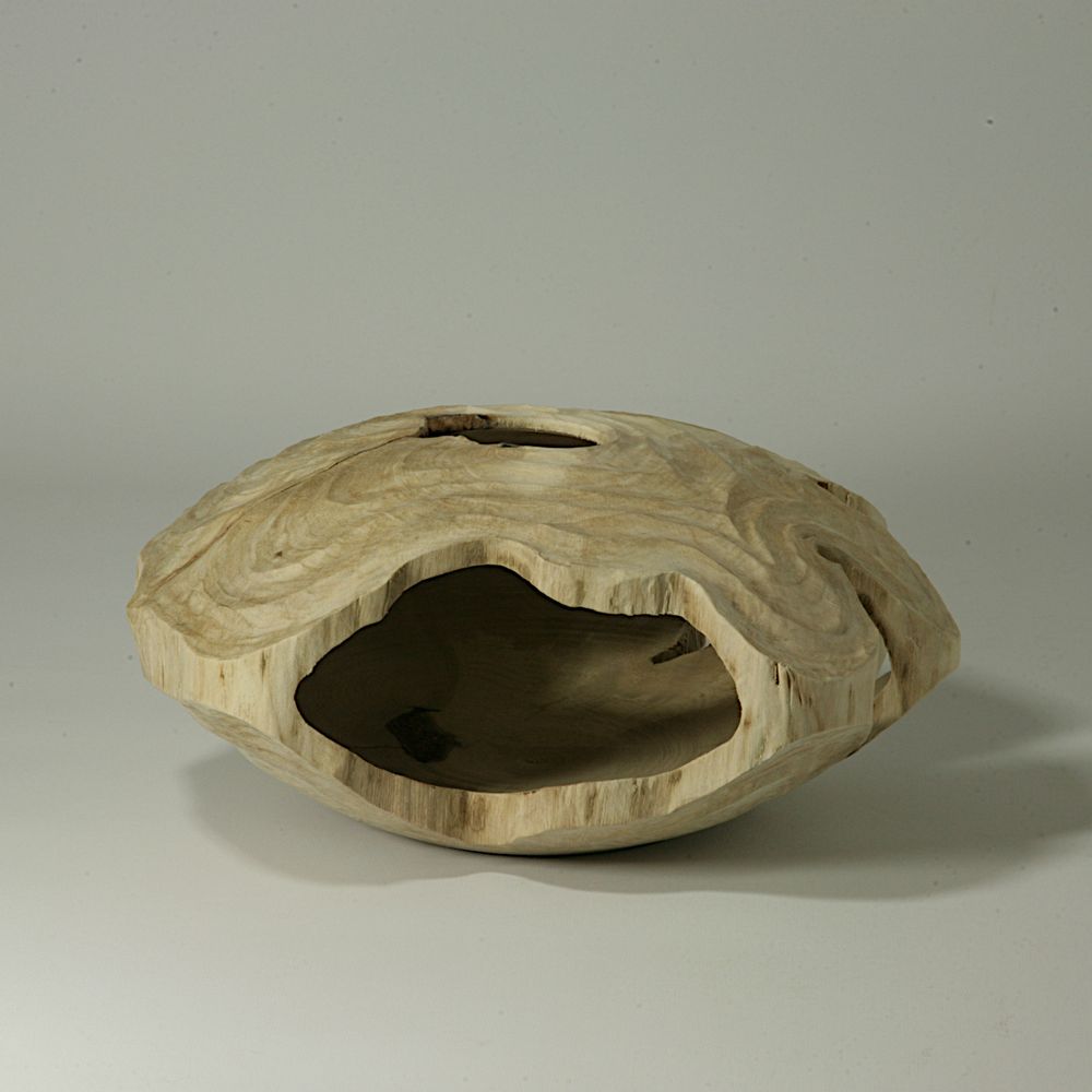 Pièces uniques - Forme creuse Carpinus Betulus - STUDIO NICOLA TESSARI