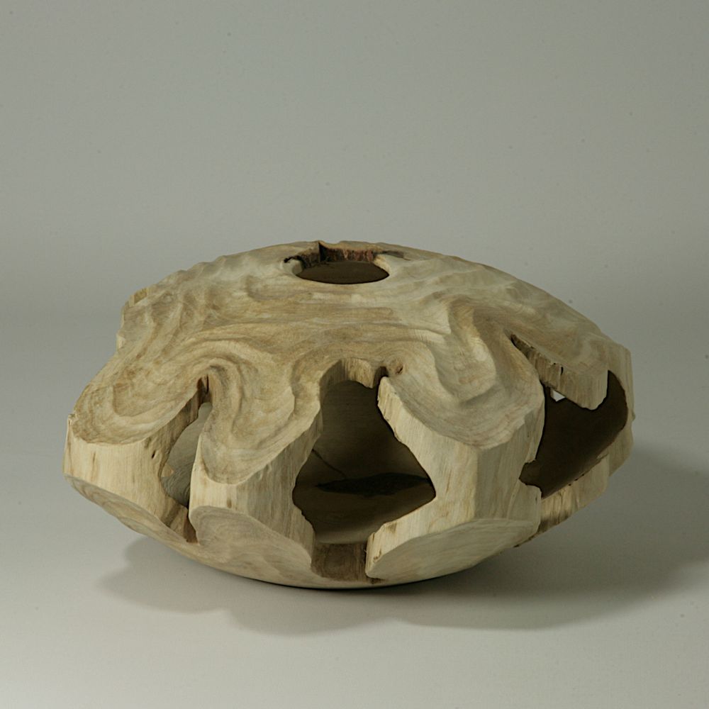 Pièces uniques - Forme creuse Carpinus Betulus - STUDIO NICOLA TESSARI