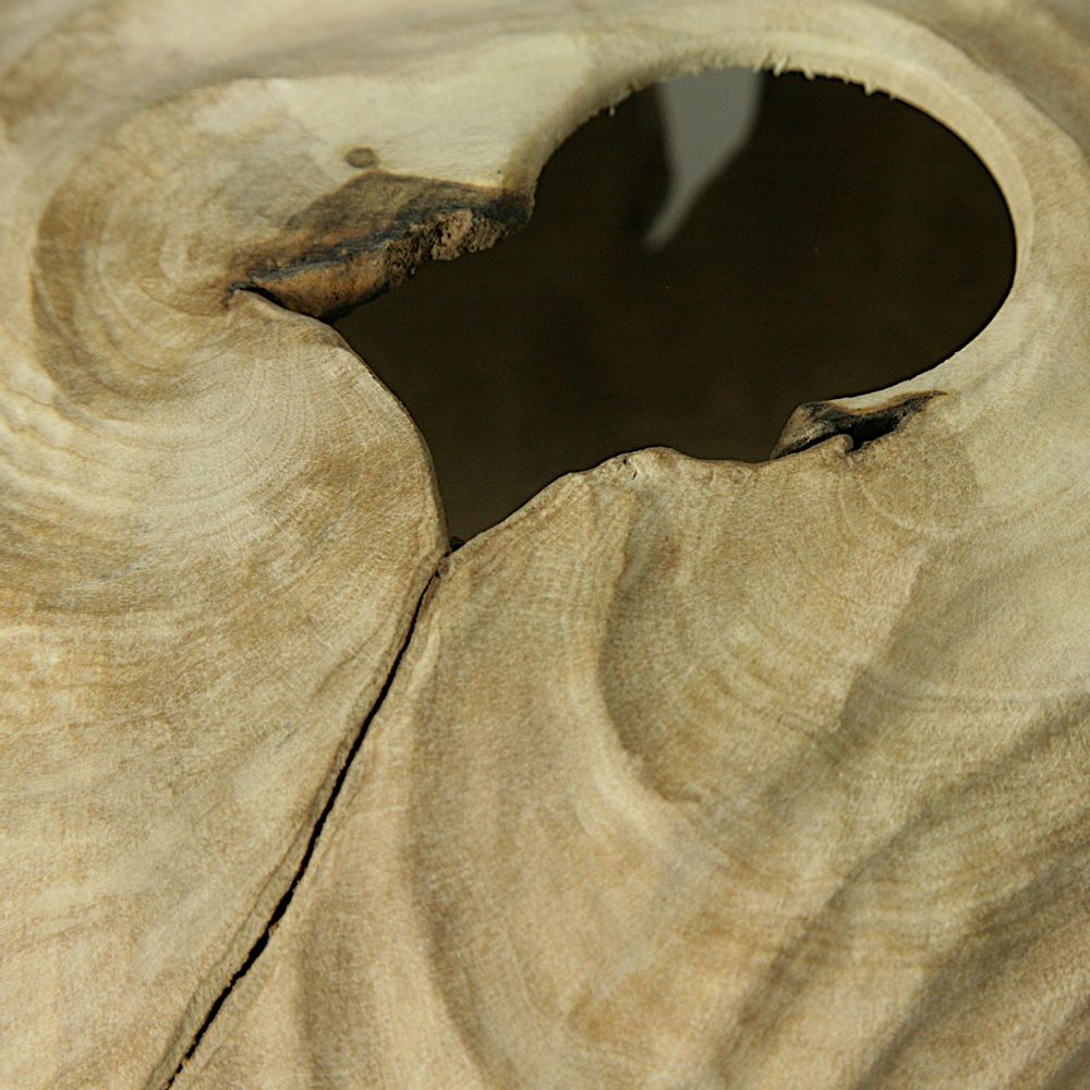Pièces uniques - Forme creuse Carpinus Betulus - STUDIO NICOLA TESSARI