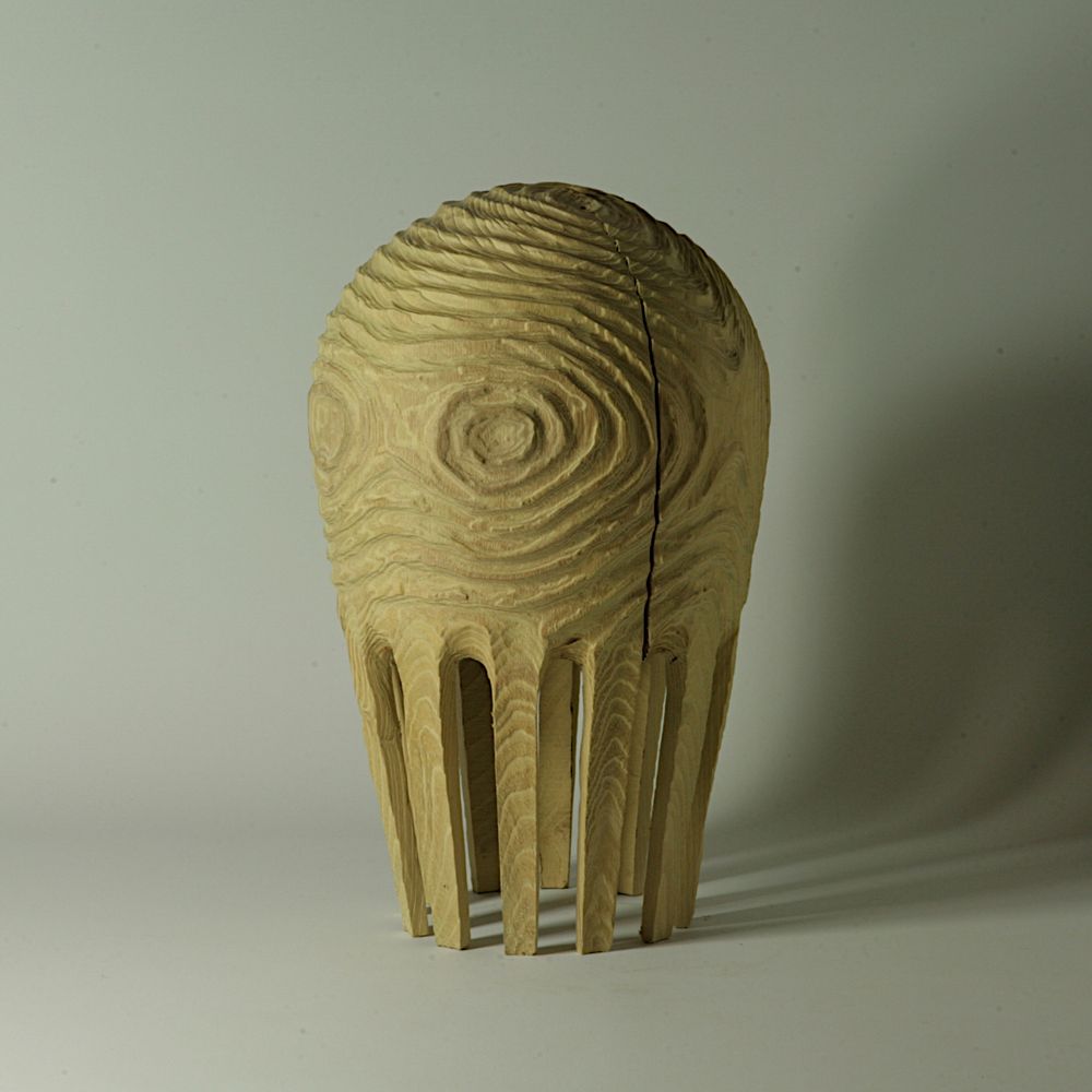 Unique pieces - Hollow form RobiniaPseudoacacia - STUDIO NICOLA TESSARI