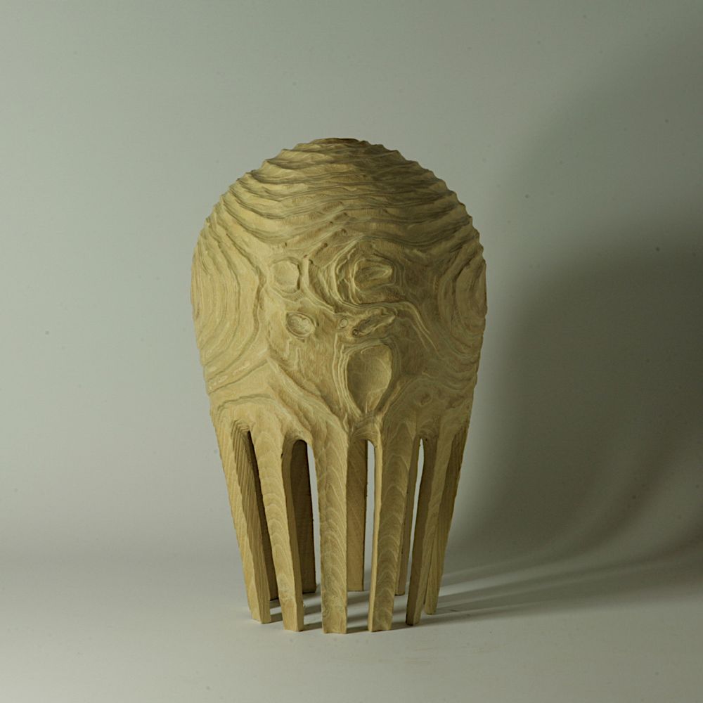 Unique pieces - Hollow form RobiniaPseudoacacia - STUDIO NICOLA TESSARI