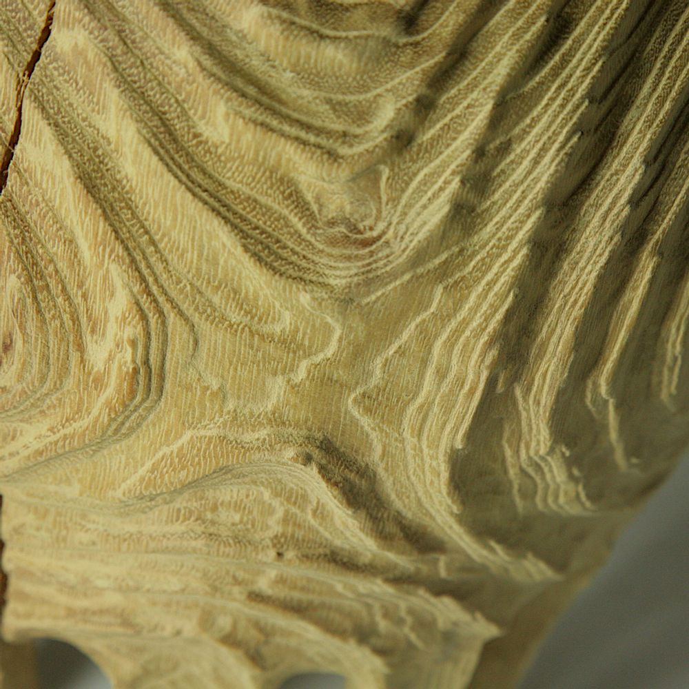 Unique pieces - Hollow form RobiniaPseudoacacia - STUDIO NICOLA TESSARI