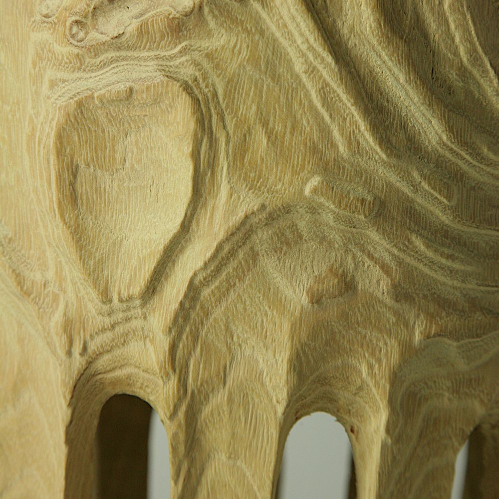 Unique pieces - Hollow form RobiniaPseudoacacia - STUDIO NICOLA TESSARI