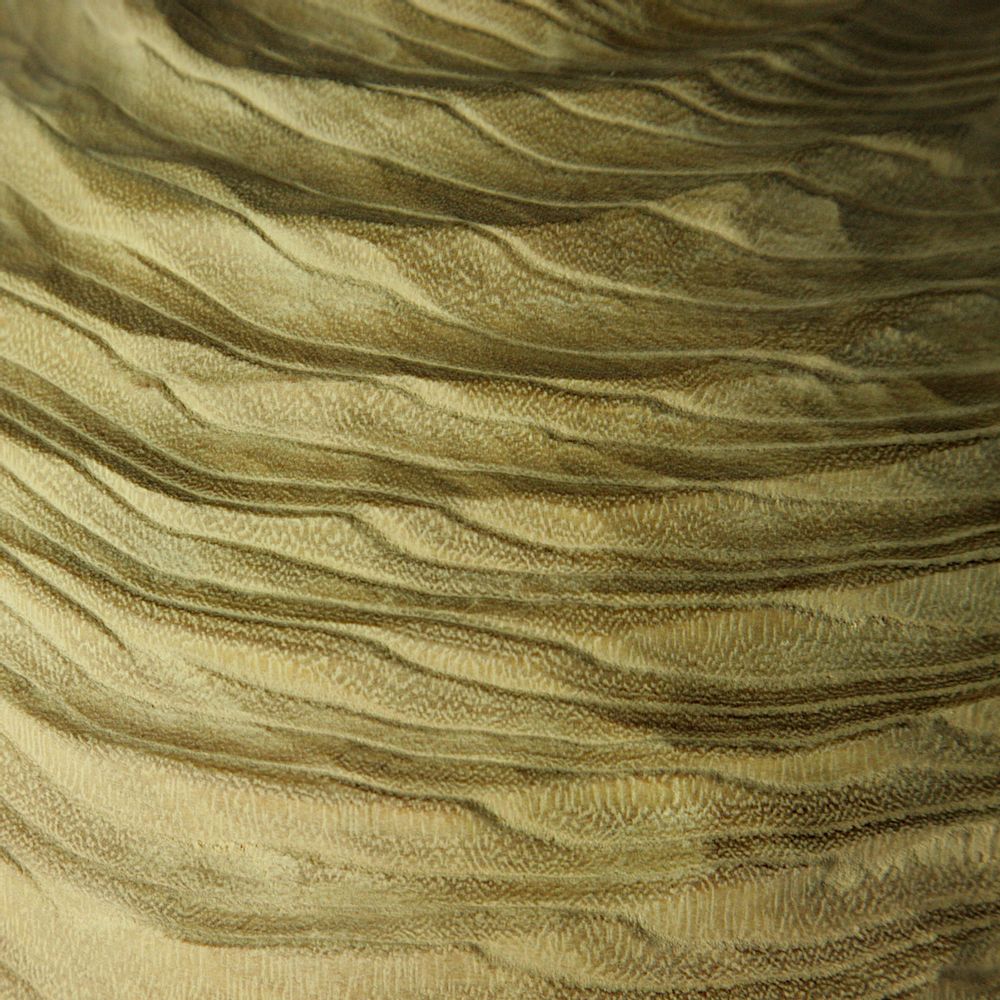 Unique pieces - Hollow form RobiniaPseudoacacia - STUDIO NICOLA TESSARI