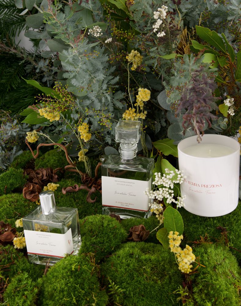 Objets de décoration - Bougie - Immortelle Forever  - IN TERRA PREZIOSA