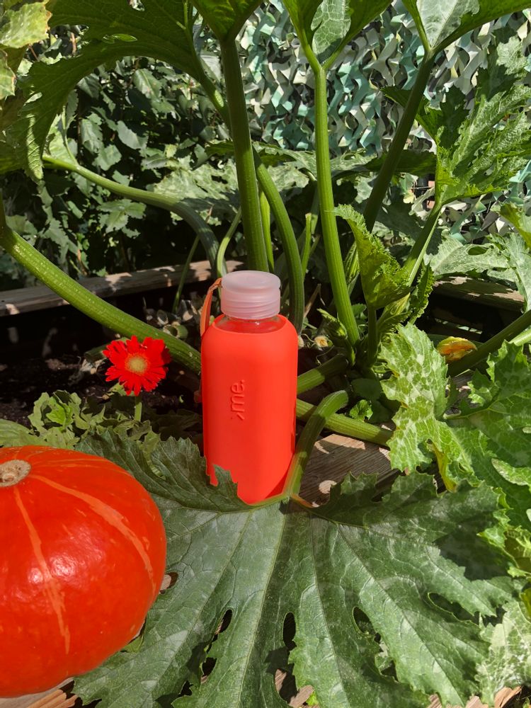 Gifts - HANDMADE GLASS BOTTLE SQUIREME. Y1 CORAL SILICONE SLEEVE SUSTAINABLE REUSABLE - SQUIREME.