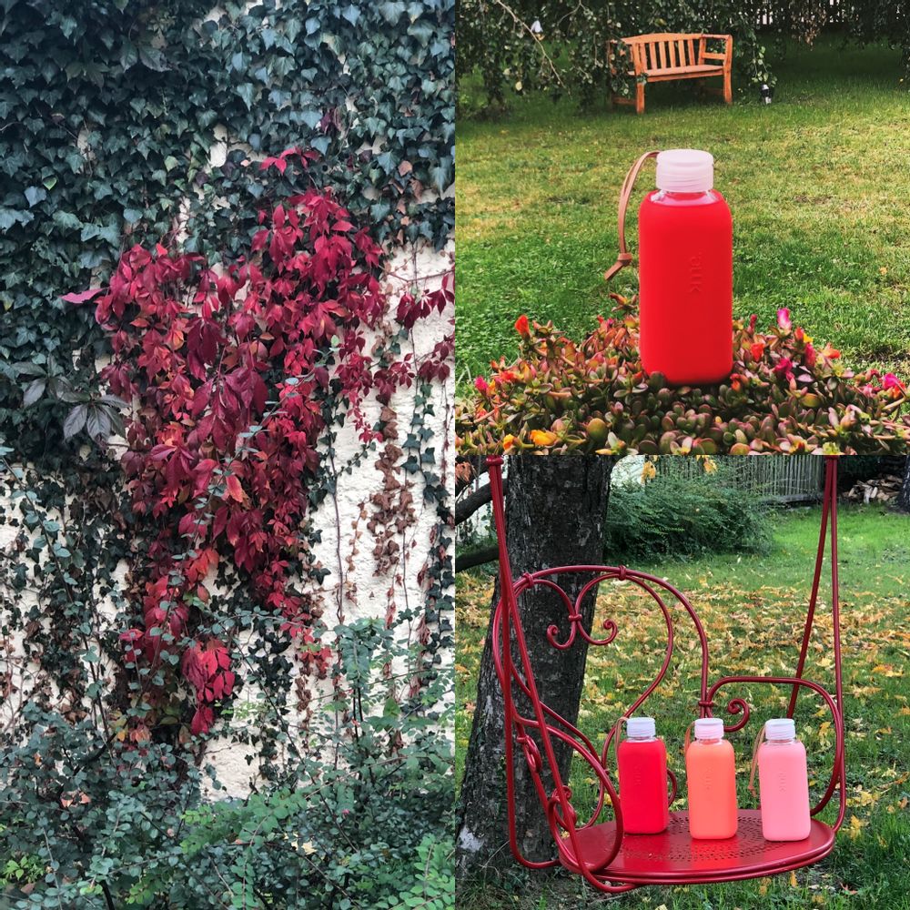 Cadeaux - BOUTEILLE EN VERRE RÉUTILISABLE ROUGE (600ml) SQUIREME. Y1 DURABLE. - SQUIREME.