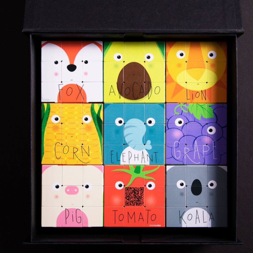 Objets design - ICONICUBE DESIGN COLLECTION - ICONICUBE