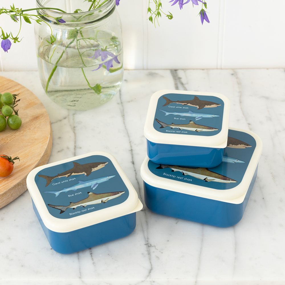 Cadeaux - Collection Sharks - REX