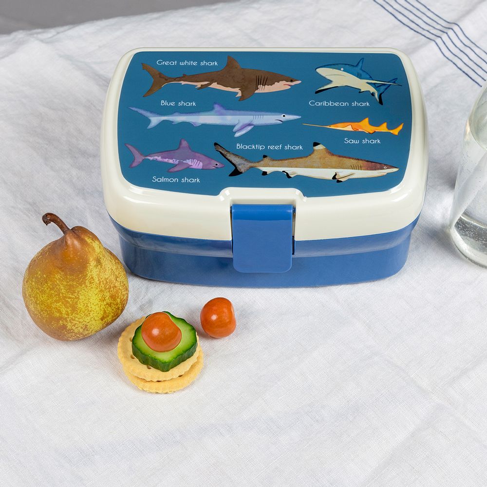 Cadeaux - Collection Sharks - REX